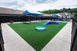 Doggie Day Camp | St. Louis | Dog Pool | St. Louis | Chesterfield | Ballwin