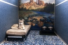 St. Louis Luxury Pet Boarding