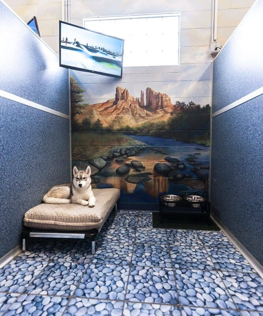 Luxury dog boarding suite at Williamsburg Pet Hotel