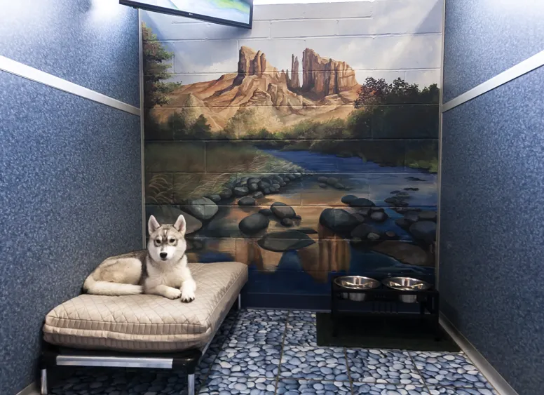 dog sitting on bed in Deluxe Suite