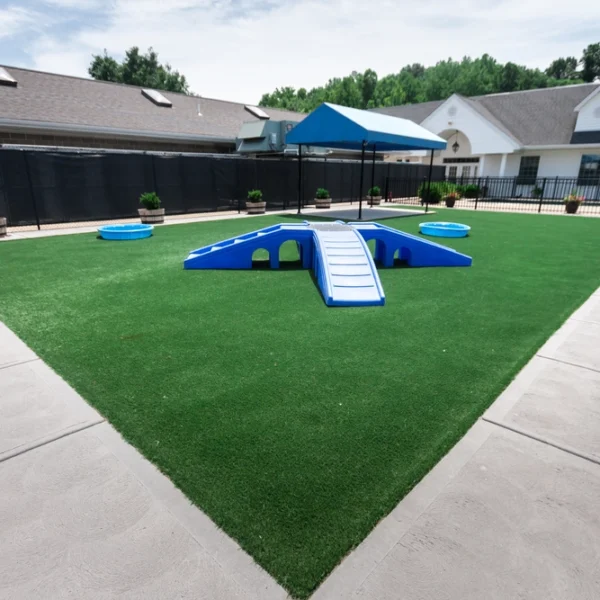 dog play area at Williamsburg Pet Hotel