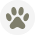 paw icon